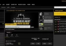 www.lagrandescommessa.com - bwin-scommesse-screenshot